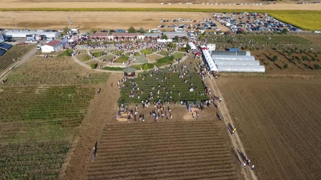 Silivri Belediyesi 4. Lavanta Hasat Şenliği birbirinden renkli görüntülere sahne oldu. Binlerce kişinin hasat yaptığı ve fotoğraf çektirdiği şenlik muhteşem geçti.