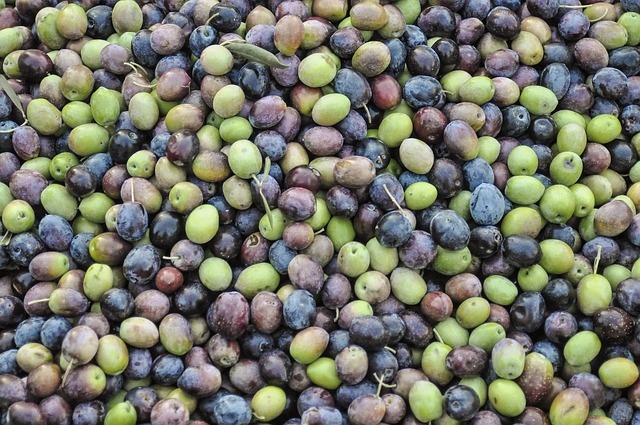 Kur'an-ı Kerim'de yer alan zeytin ve incirin faydaları saymakla bitmiyor. 

Kur'an-ı Kerim'de yer alan zeytin ve incirin yaşlanmayı geciktirdiği ve vücudun hücrelerini yenilediği herkes tarafından bilinir. Japon bilim adamları da bu durumu keşfettikten sonra insanların bunu bir yaşam felsefesi olarak yapmalarını çünkü bu ikilinin birçok faydası olduğunun altını çizmiştir. Uzmanlar her gün düzenli bir şekilde 7 zeytin ve 1 incir tüketildiğinde ne gibi faydalar sağladığını açıkladı.