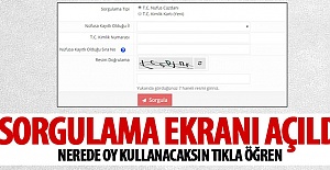 YSK Seçmen sorgulama portalını açtı