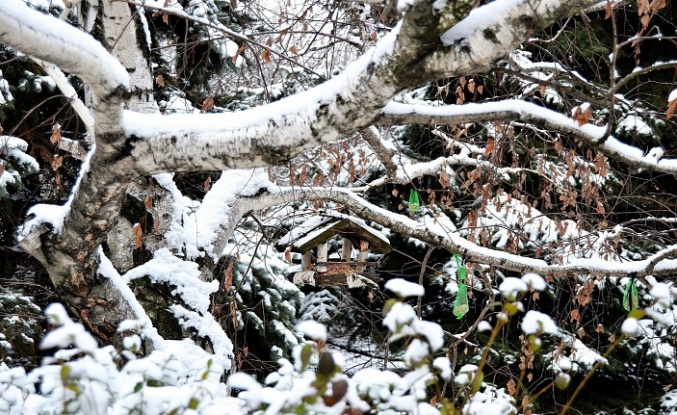 Meteoroloji'den 1 haftalık hava durumu uyarıları